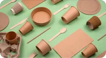Paper dishes